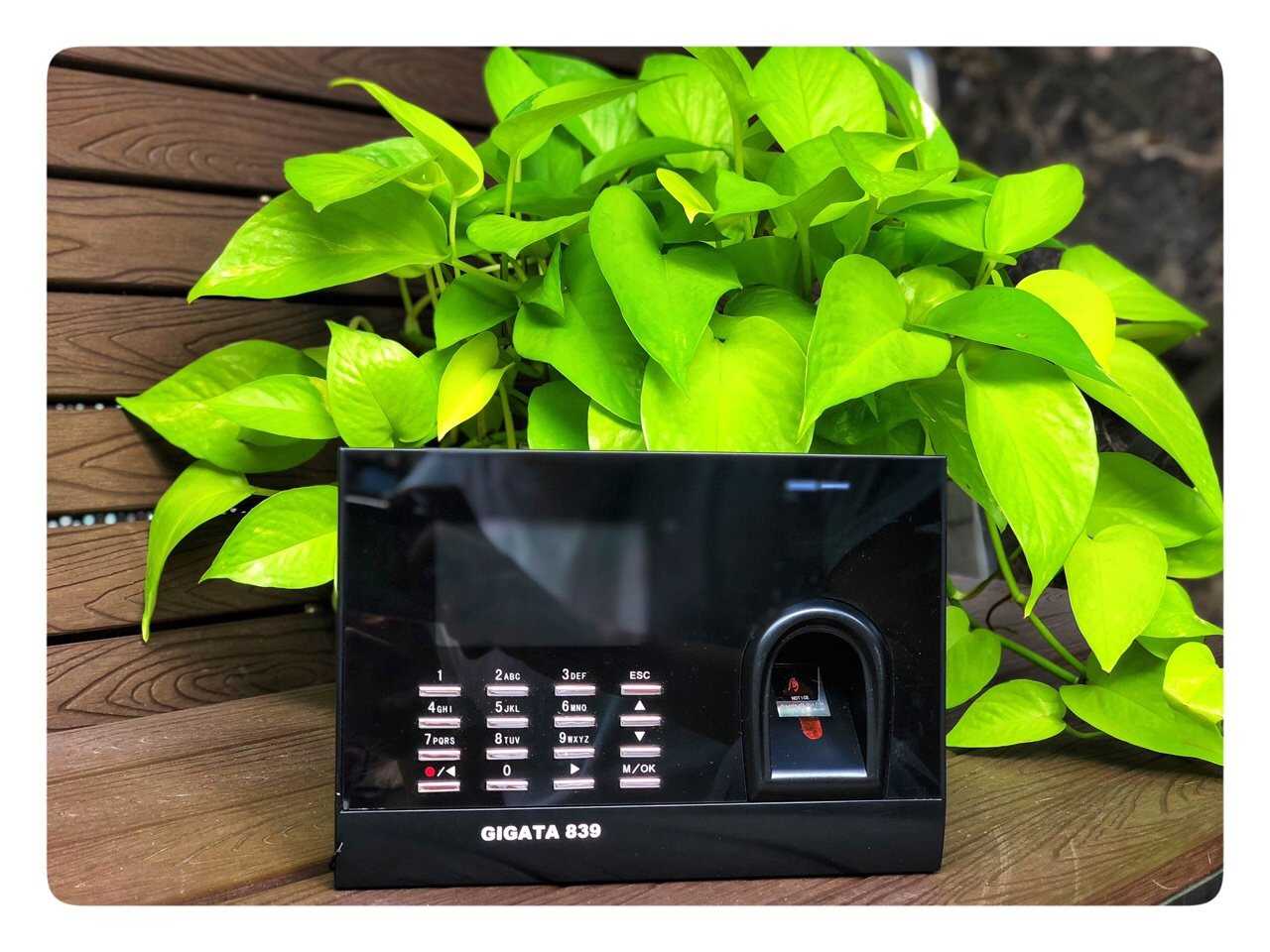 Thông Số Kỹ Thuật Máy Chấm Công Vân Tay Ronald Jack 8000 8