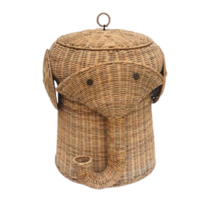 370562707_1024235732356698_2286140976299965043_n-photoroom