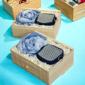 409974687_347499444670853_4672525973697431225_n-photoroom (2)